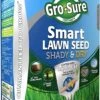 Westland Gro-Sure Smart Shady & Dry -Outdoor Garden Care 71Q Tj kE2S. AC SY879