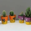 Cactus In Decorative Pot -Outdoor Garden Care caccc