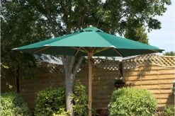 Charles Taylor Parasol