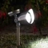Solar Stainless Steel Spot Light -Outdoor Garden Care light
