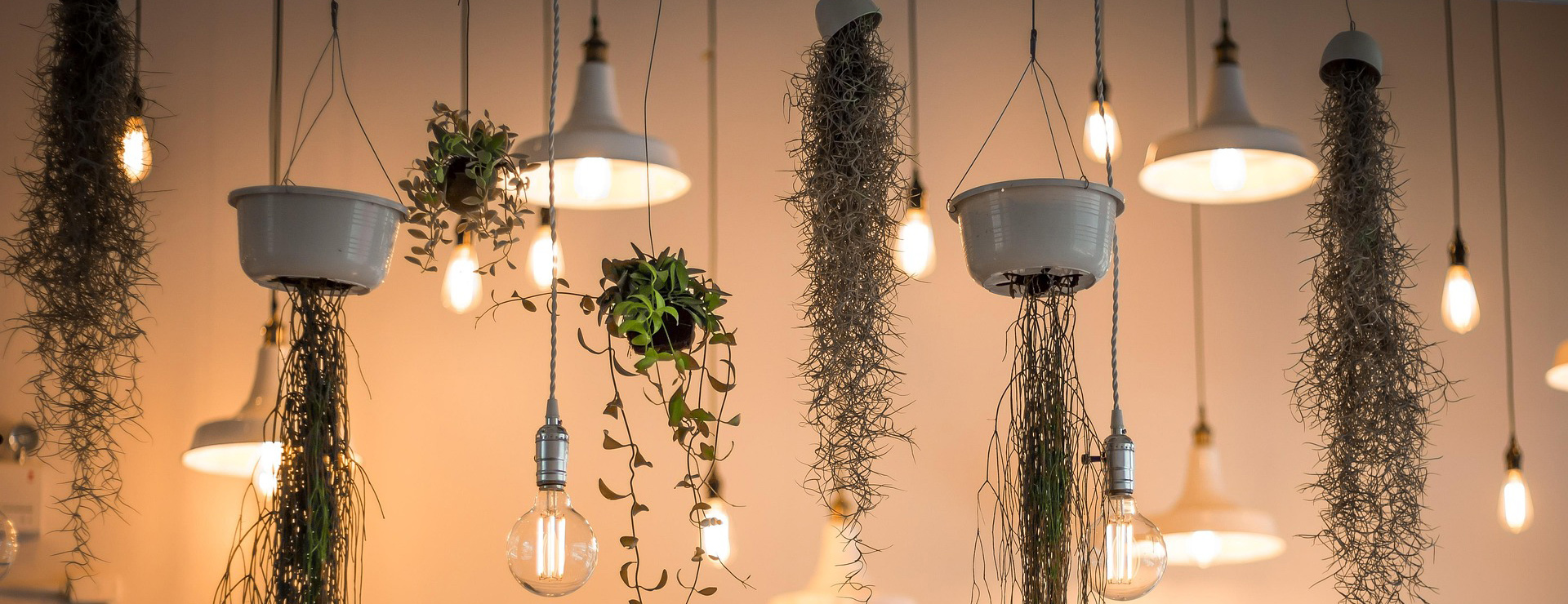 Front Page 3 Front Page -Outdoor Garden Care lights 1867437 1920