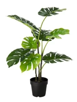 Artificial Monstera In Pot